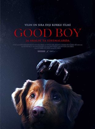 Good Boy