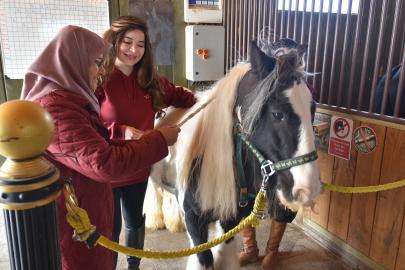 Pendik Belediyesi'nden Yaşlı Bireylere Hipoterapi Programı