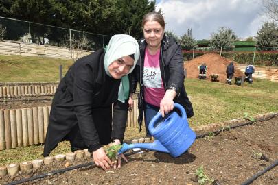 Pendik'te Ata Tohumu Dikerek Bahara Merhaba Dediler