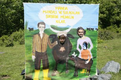 Eyüp'te Manda Festivali Coşkusu