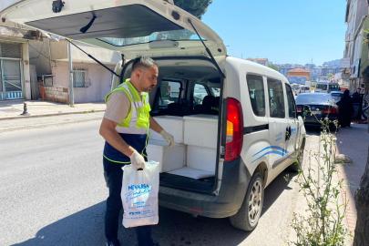 Pendik'te Kurban Bereketi