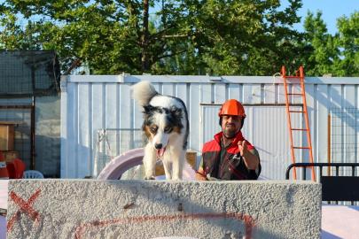 Maltepe'de Patili Kahramanlar Afetlere Hazırlanıyor! Arama Kurtarma Köpeklerine Özel Eğitim