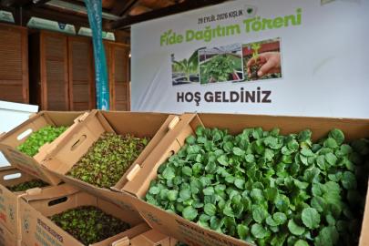 Beykoz’da Çiftçilere 625 Bin Kışlık Fide